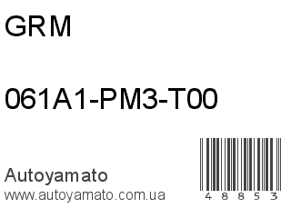061A1-PM3-T00 (GRM)