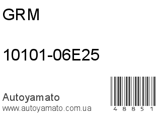 10101-06E25 (GRM)