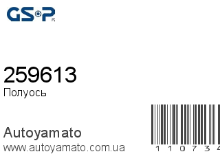 259613 (GSP)