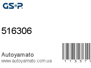 516306 (GSP)