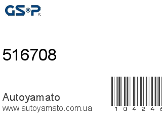 516708 (GSP)