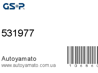 531977 (GSP)