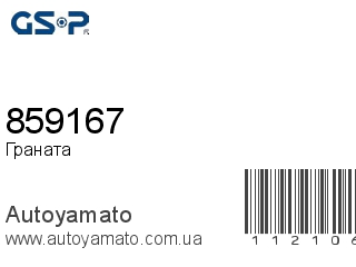 859167 (GSP)