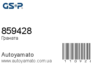 859428 (GSP)