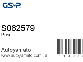 Рычаг S062579 (GSP)