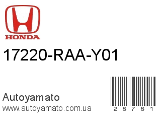 17220-RAA-Y01 (HONDA)
