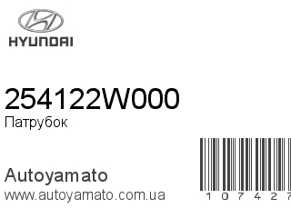 Патрубок 254122W000 (HYUNDAI)