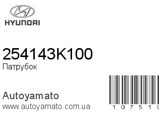 Патрубок 254143K100 (HYUNDAI)