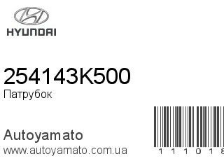 Патрубок 254143K500 (HYUNDAI)