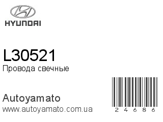 L30521 (HYUNDAI)