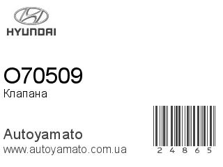 O70509 (HYUNDAI)