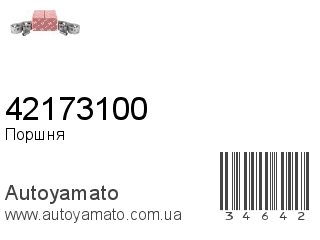 42173100 (IZUMI)
