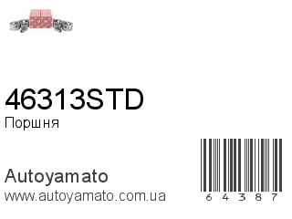 46313STD (IZUMI)