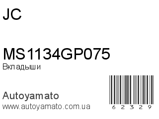 MS1134GP075 (JC)