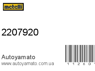 Тормозные колодки 2207920 (METELLI)