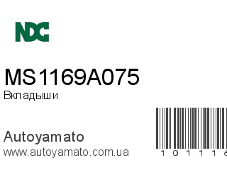 MS1169A075 (NDC)