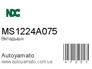 MS1224A075 (NDC)