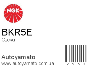 BKR5E (NGK)
