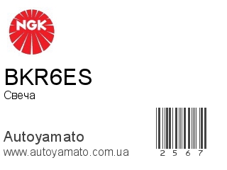 BKR6ES (NGK)
