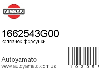 Кольцо форсунки 1662543G00 (NISSAN)