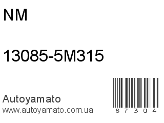 13085-5M315 (NM)