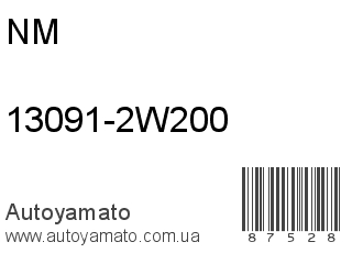 13091-2W200 (NM)
