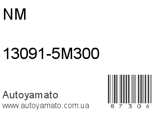 13091-5M300 (NM)