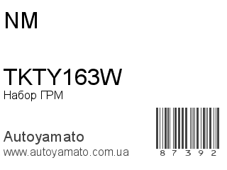 Набор ГРМ TKTY163W (NM)