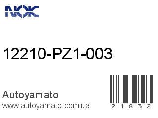 12210-PZ1-003 (NOK)