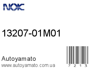 13207-01M01 (NOK)