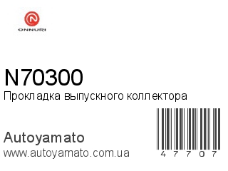 N70300 (ONNURI)