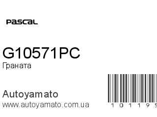 G10571PC (PASCAL)