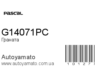 Граната G14071PC (PASCAL)