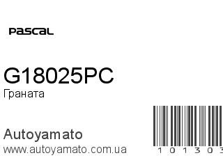 G18025PC (PASCAL)