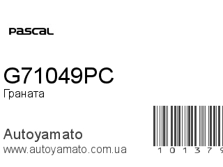 Граната G71049PC (PASCAL)