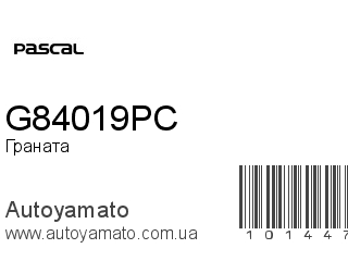 Граната G84019PC (PASCAL)