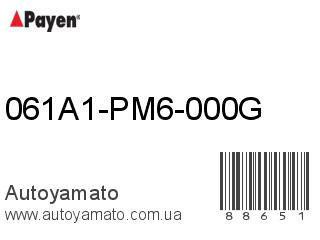 061A1-PM6-000G (PAYEN)