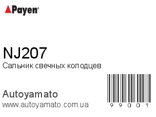 NJ207 (PAYEN)