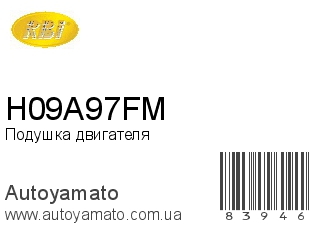 H09A97FM (RBI)