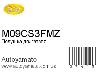 M09CS3FMZ (RBI)