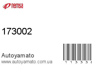 173002 (REMSA)