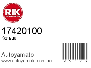 17420100 (RIK)