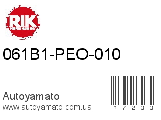 061B1-PEO-010 (RIKEN)