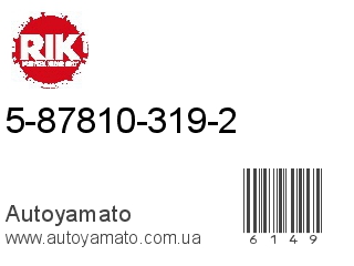 5-87810-319-2 (RIKEN)