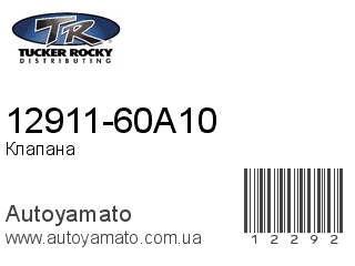 12911-60A10 (ROCKY)