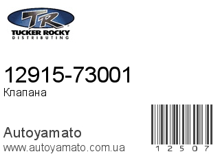 12915-73001 (ROCKY)