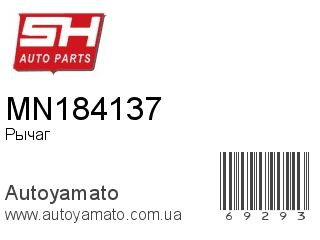 MN184137 (SH)