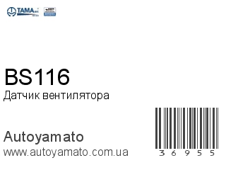 BS116 (TAMA)