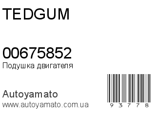 00675852 (TEDGUM)