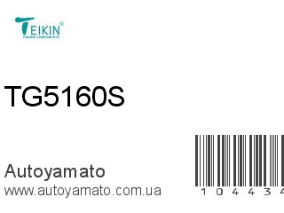 Прокладка головки блока TG5160S (TEIKIN)